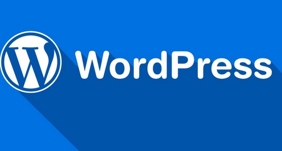 WordPress搭建外貿獨立站有什么優點